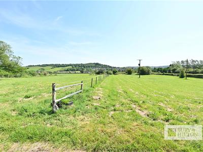 Picture 37